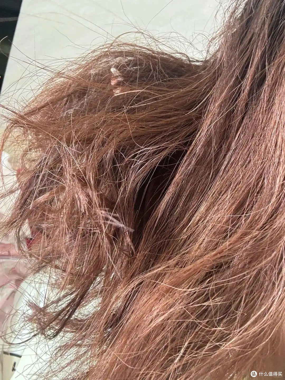 虱子是怎么从每个人头上消失的,答案藏在你每天洗头这件事里