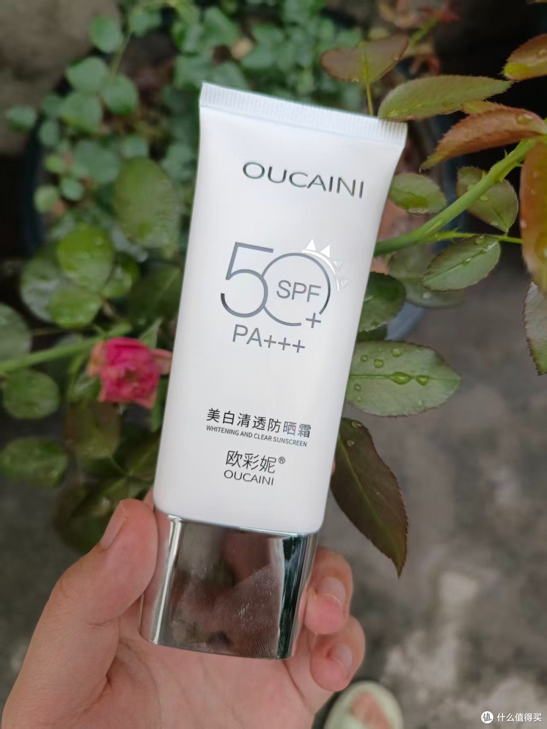 秋冬季江边户外实测|植蔓草防晒,清透不闷防水防汗