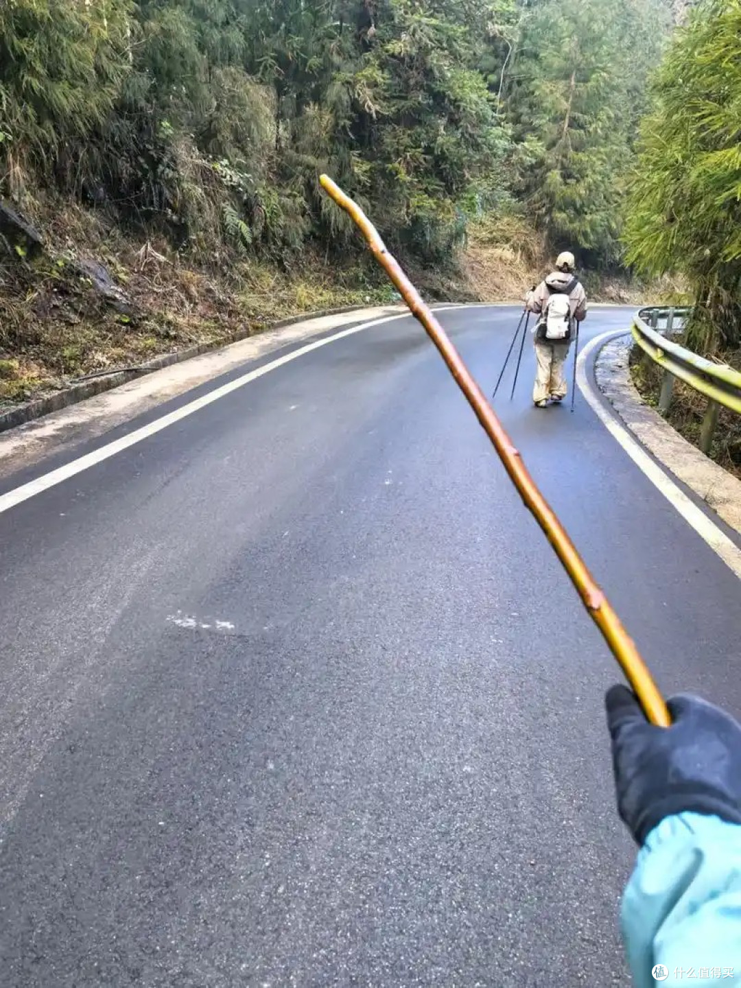 随便一根结实的树枝就可以做登山杖