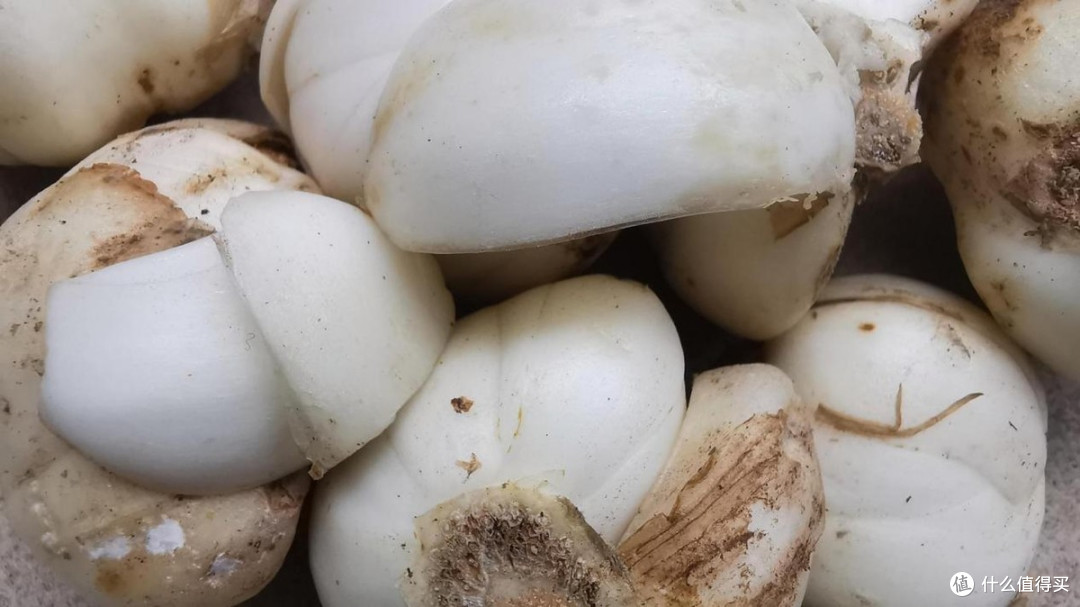 白露入秋别乱吃!少吃豆角茄子,多吃5种黄金秋菜,度过金秋燥季