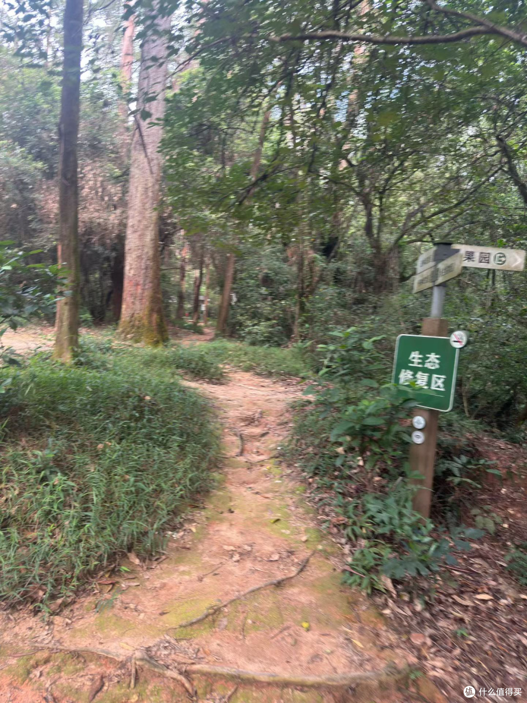 五山穿越日记|怕蛇+全坡虐腿😱靠这双ASICS&迎新补给撑住了!