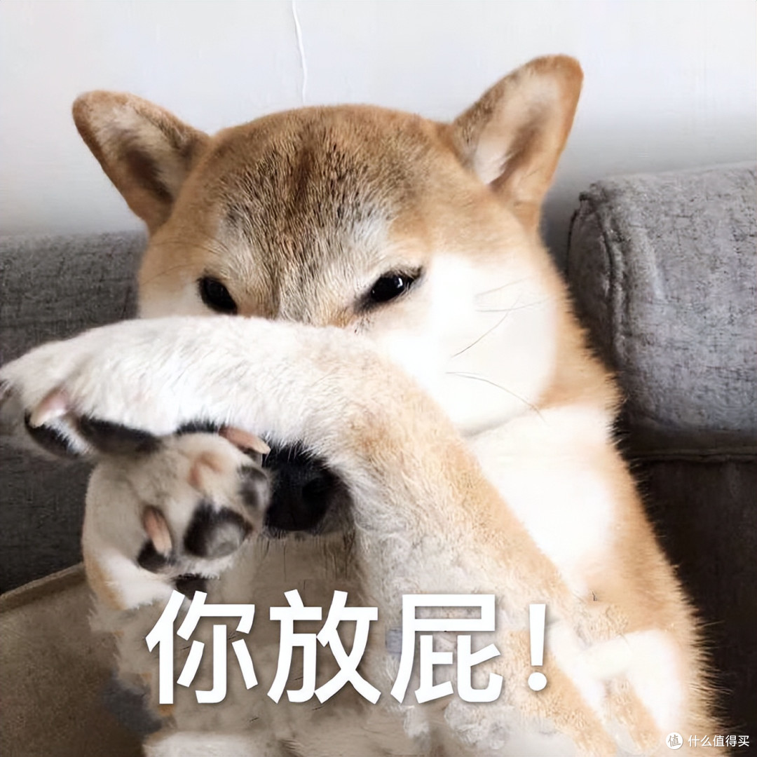 狗淋湿后，甩水为什么那么臭？干了又闻不到，这是为什么？