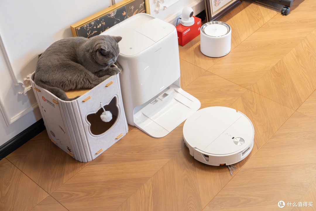 猫毛、猫砂、床底死角全包了?石头P30 Pro这次真有点“全能”