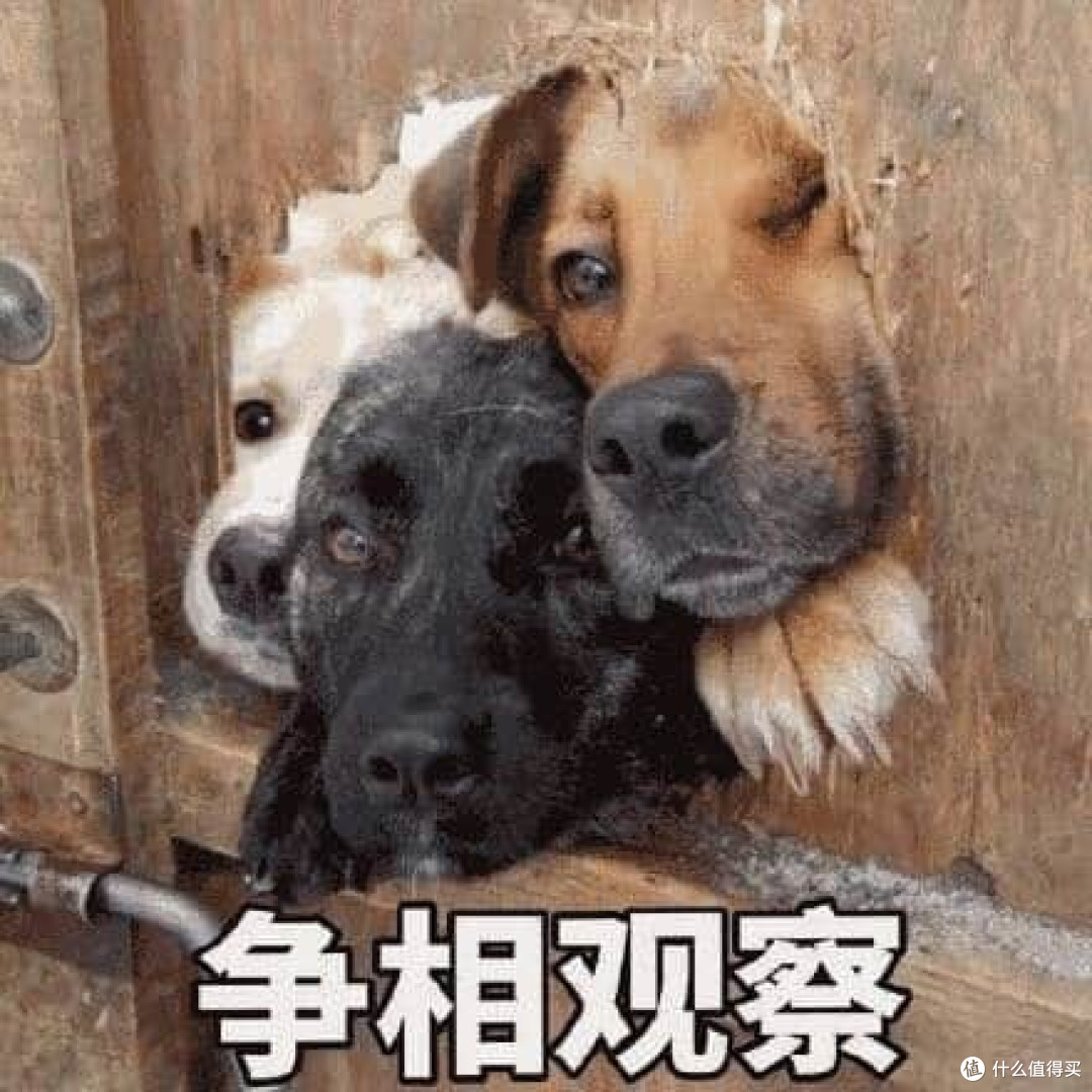 199元给到全微动+力调节摇杆,这才是全面升级!天剑Pro首发评测