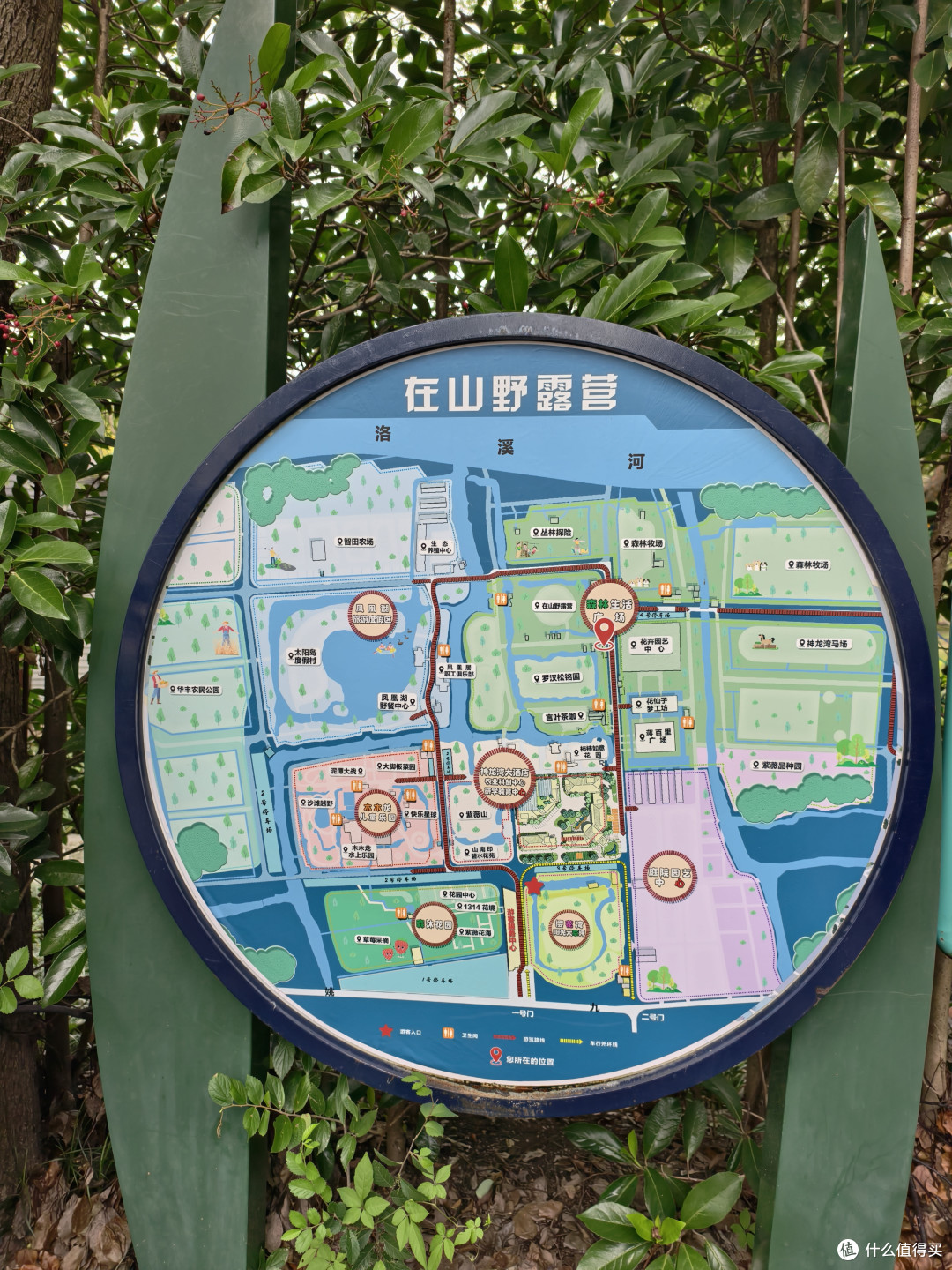 周末去哪儿?杭州自驾1.5 小时森林亲子乐园