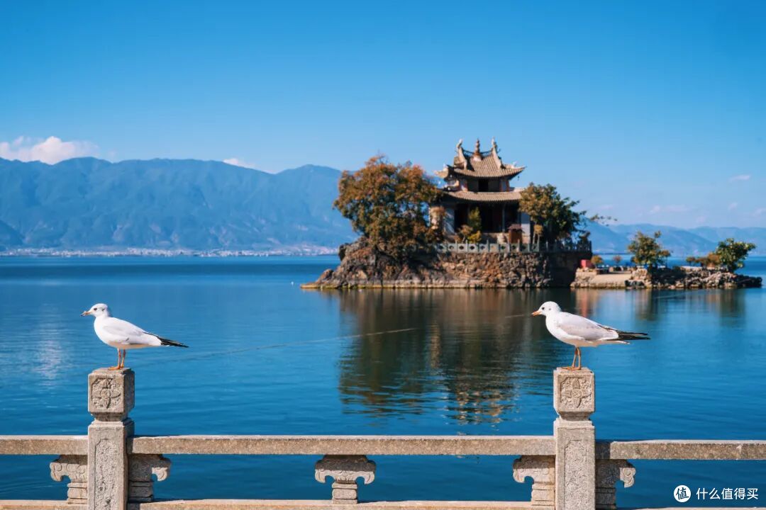 洋洋洒洒9000字,秋天的N种玩法,全在这一篇了!
