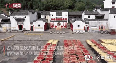 洋洋洒洒9000字,秋天的N种玩法,全在这一篇了!