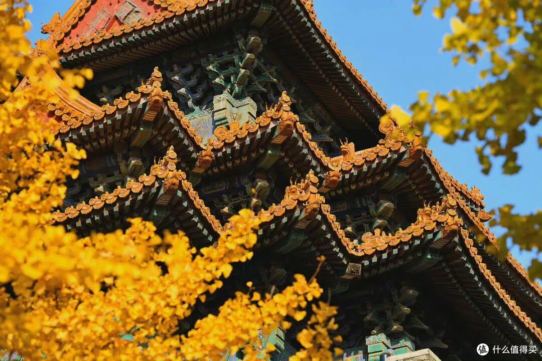 洋洋洒洒9000字,秋天的N种玩法,全在这一篇了!