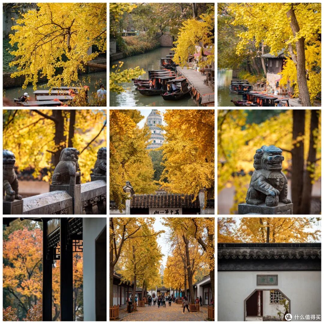 洋洋洒洒9000字,秋天的N种玩法,全在这一篇了!