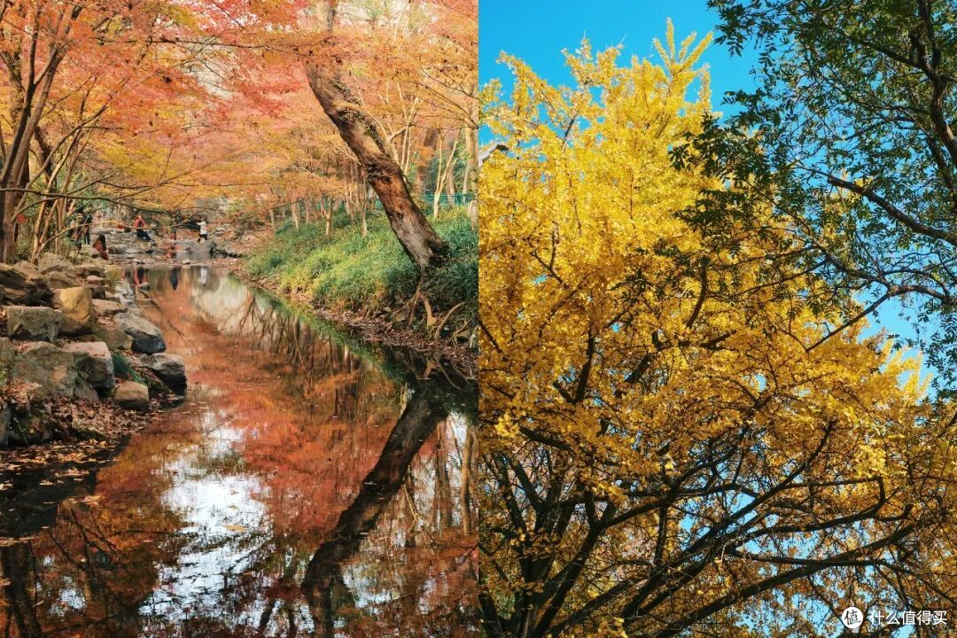 洋洋洒洒9000字,秋天的N种玩法,全在这一篇了!