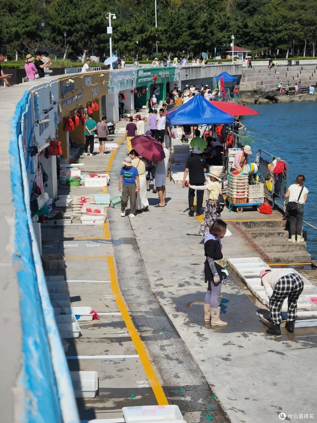 海源公园鱼市码头，摊位沿堤岸排开，空泡沫箱堆在道边