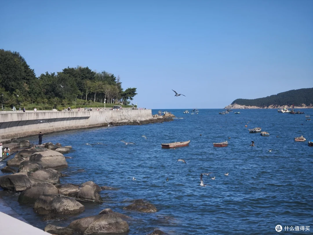 海源公园外的海湾漂着许多小舢板，海鸥低飞掠过礁石岸