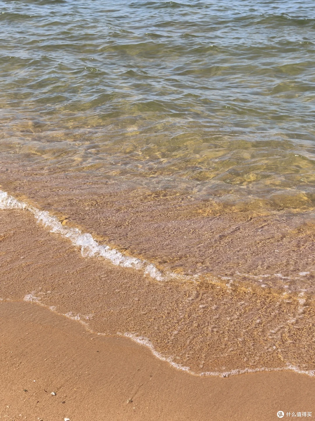 国际海水浴场清澈的海水漫过金黄沙滩，留下一道白色细浪线