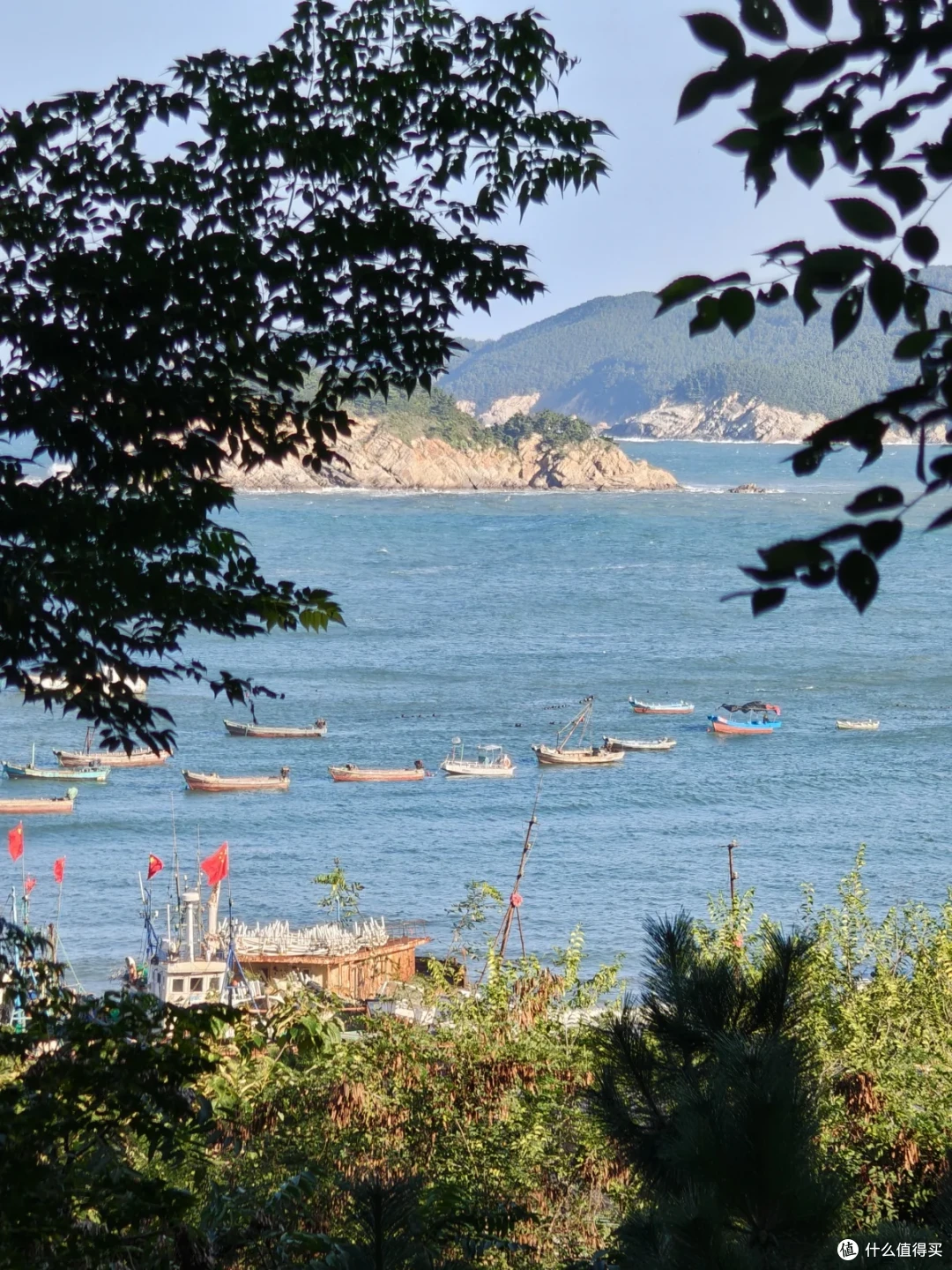 透过枝叶俯瞰青蓝色海湾，渔船散落海面，近处船坞插着红旗