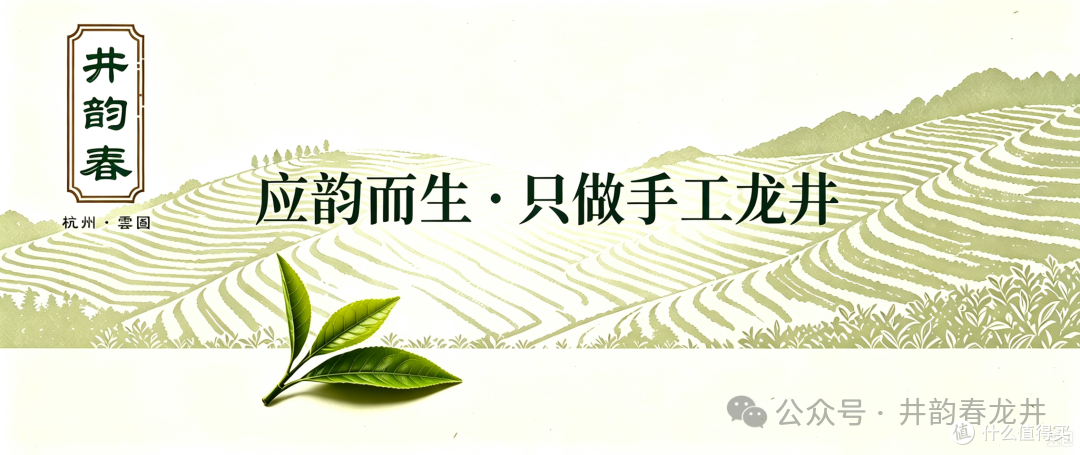 井韵春 手工龙井