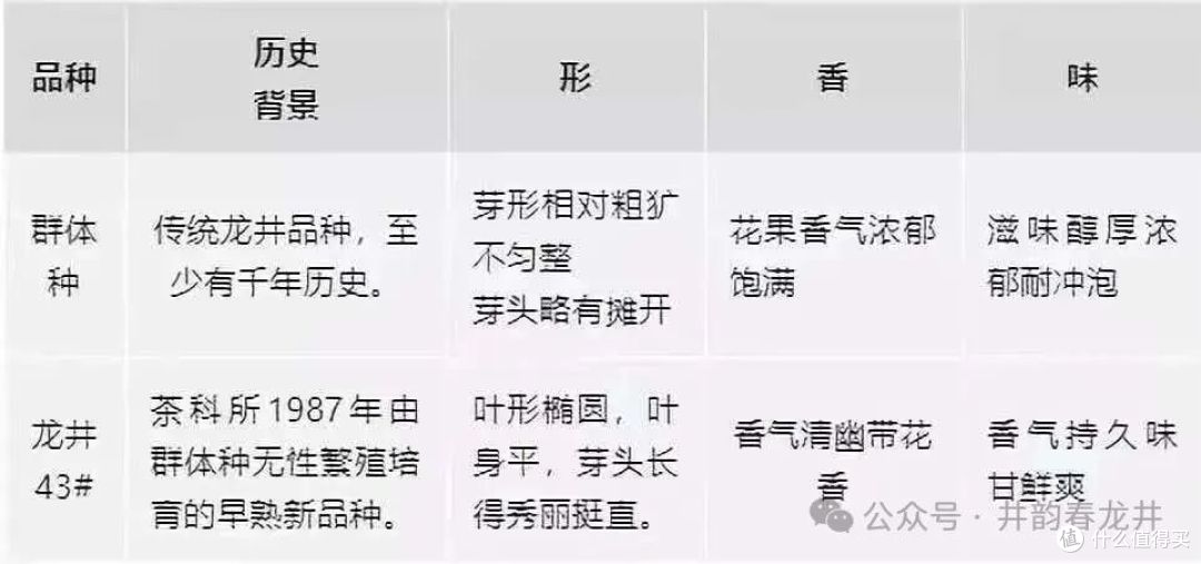 群体种与龙井43 对比表