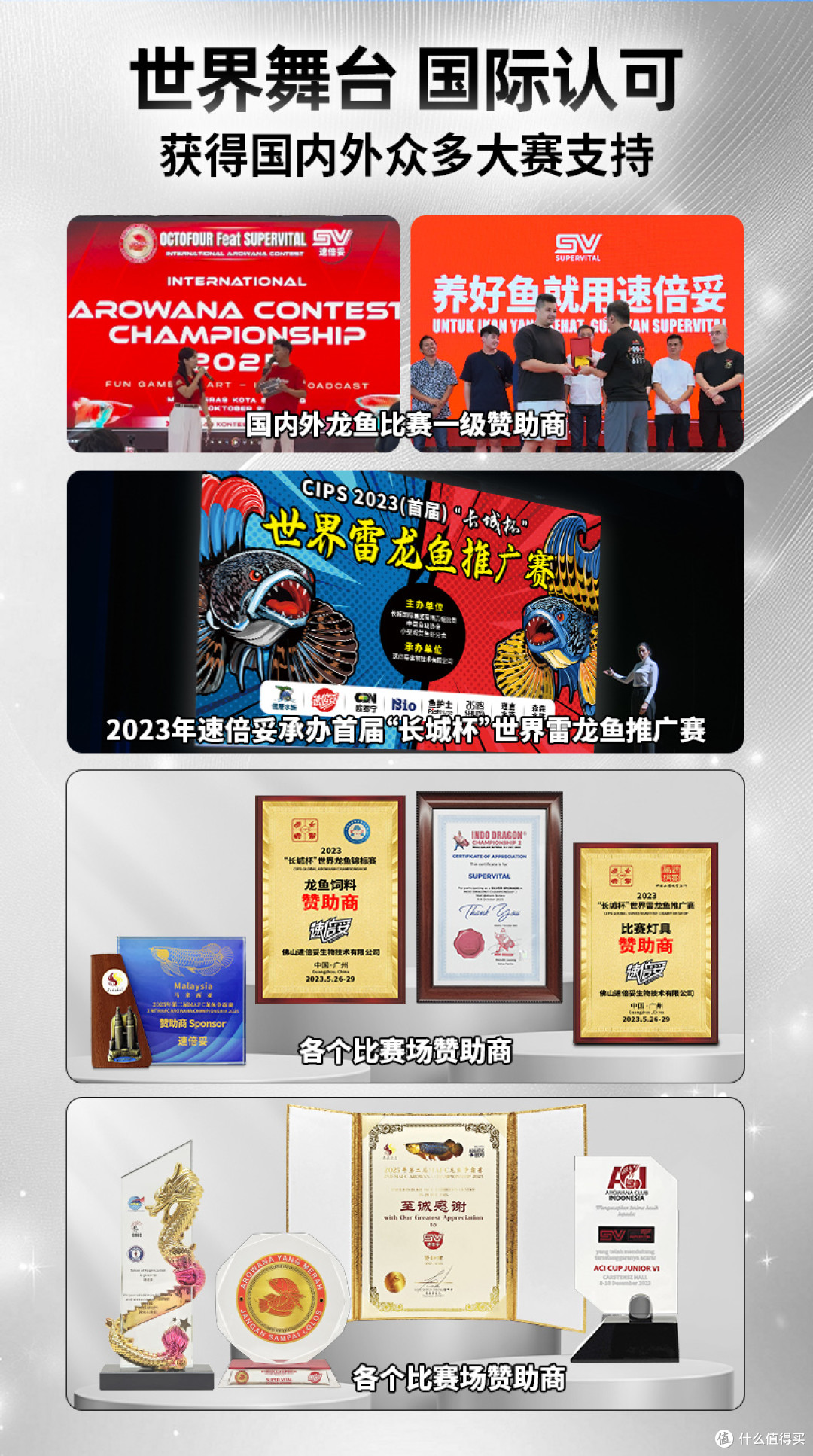龙鱼缸过滤系统怎么选?从硝化原理聊聊我的选购经验