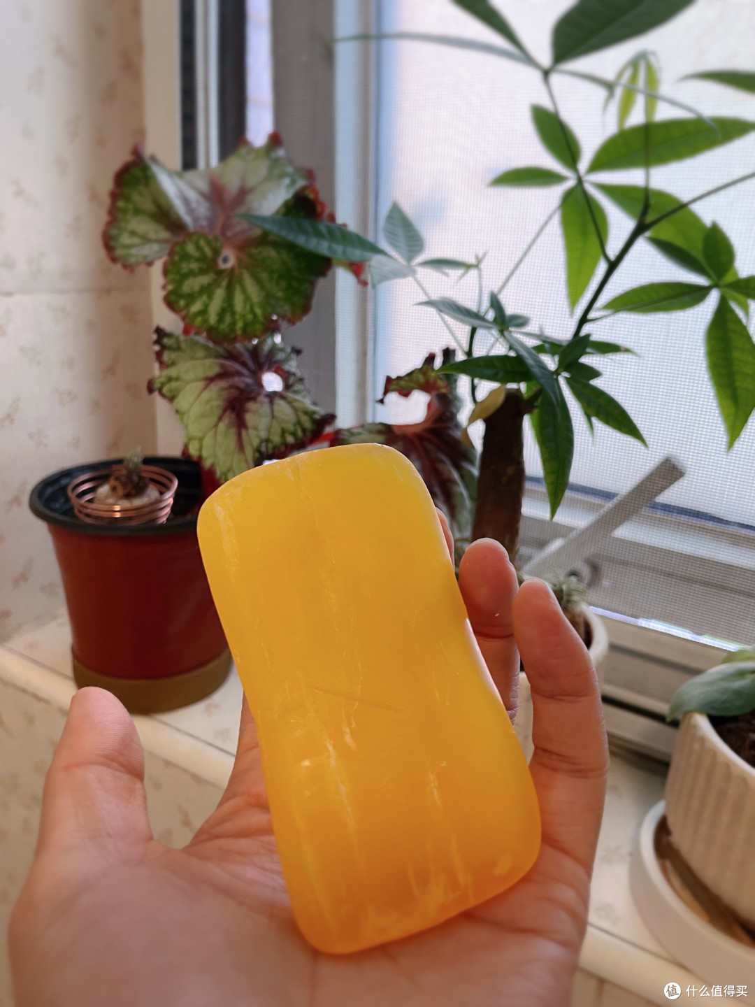 洗衣皂从小用到大，真的超好用！