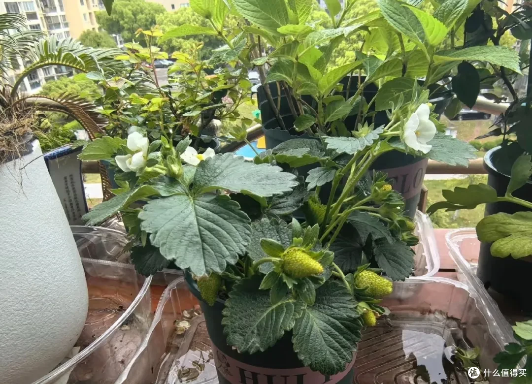 被网友的透明盒子用法惊呆了,不花啥钱,还解决了不少家居痛点!