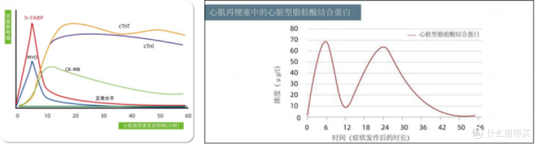 心脏型脂肪酸结合蛋白（H-FABP）是什么？这个指标靠谱吗？