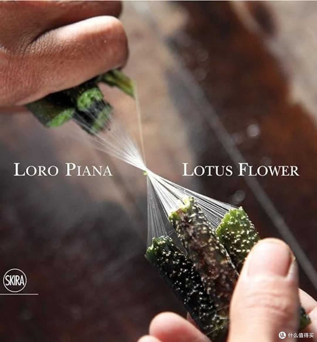 没Logo却贵得离谱?!苹果新CEO约翰·特努斯的“老钱标配”Loro Piana,凭啥让大佬们集体上头?