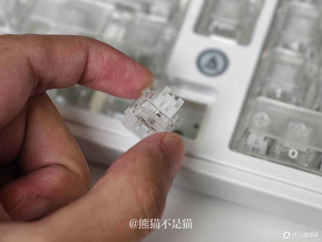 轴体