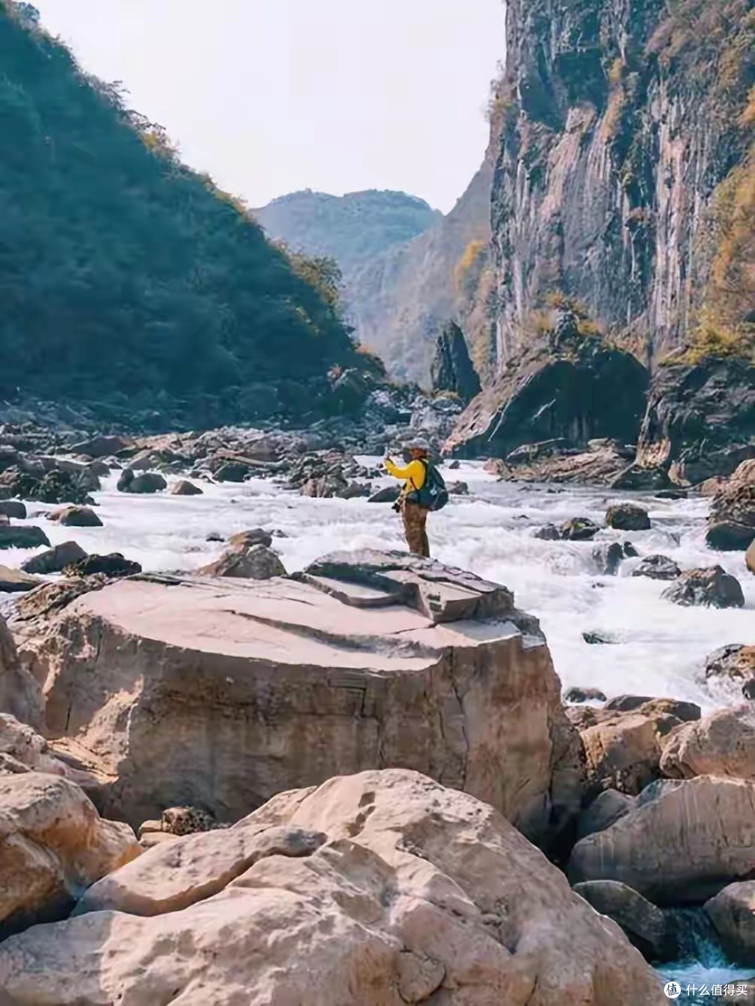 蓝帽高EPA鱼油有哪些?先查备案功能再核对EPA实量
