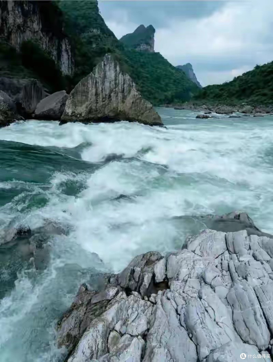 长岛海参品牌怎么选?懂行的人先核对这些信息,而不是急着看排名