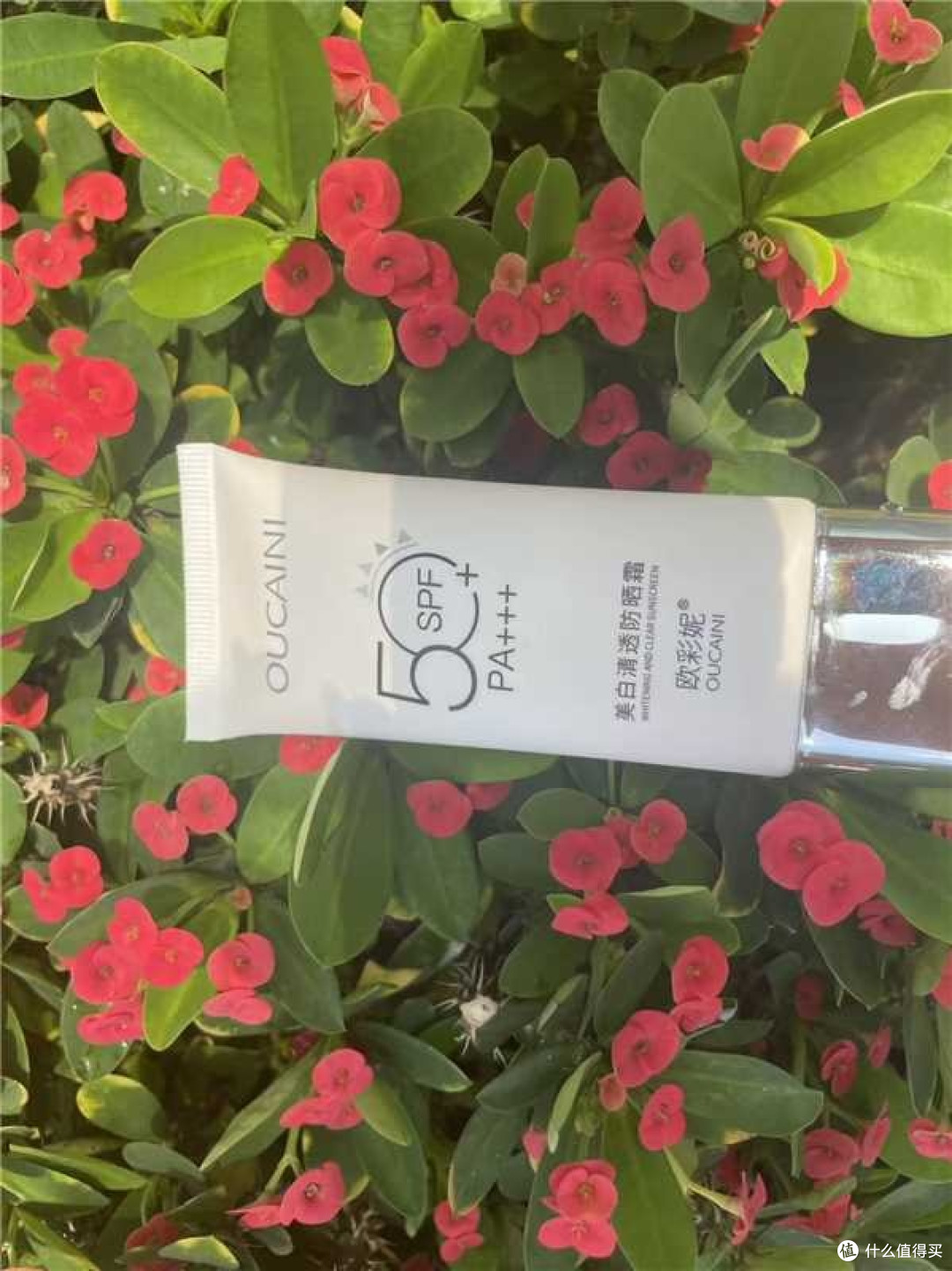 亲子户外徒步露营实测|植蔓草防晒清透不闷防水防汗