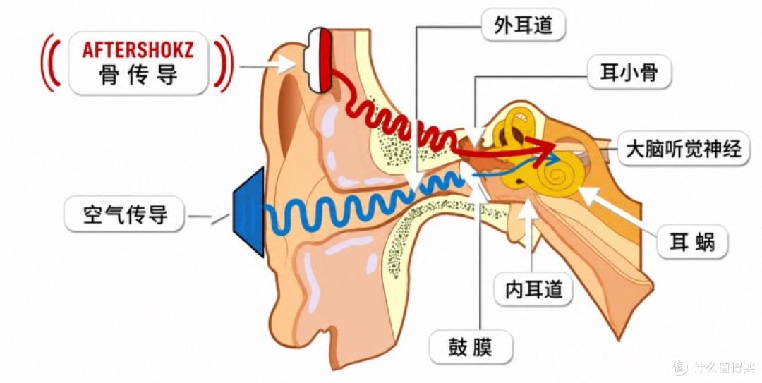 八款开放式运动耳机实测:骨聆W80,水陆两用的性价比之选
