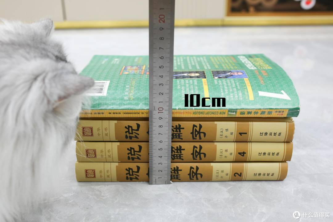 四猫家庭实测石头P30 Pro:猫毛猫砂满地跑,日常清洁能省多少事