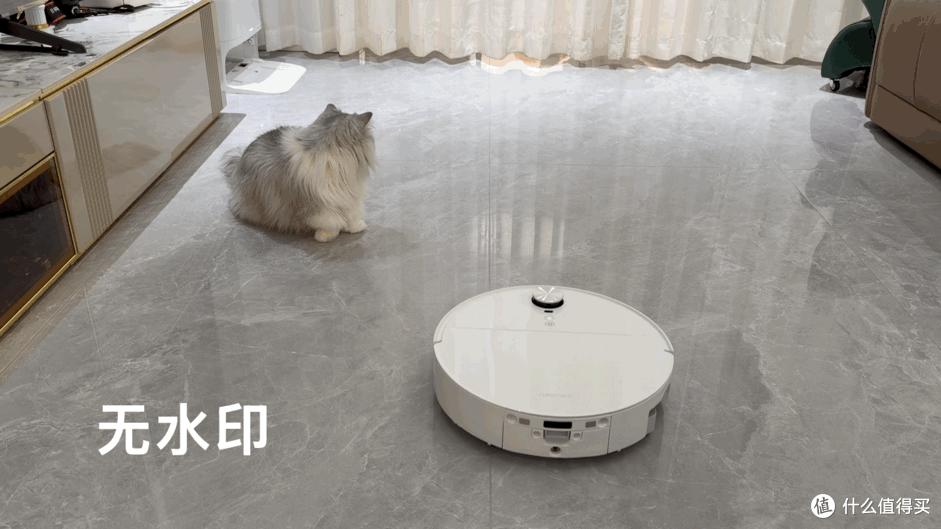 四猫家庭实测石头P30 Pro:猫毛猫砂满地跑,日常清洁能省多少事