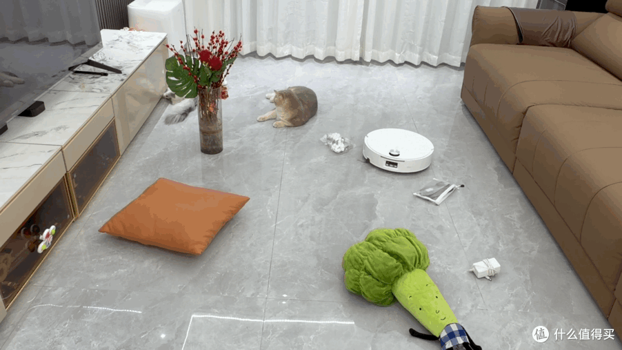 四猫家庭实测石头P30 Pro:猫毛猫砂满地跑,日常清洁能省多少事