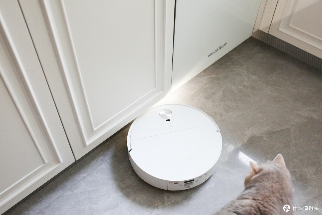 四猫家庭实测石头P30 Pro:猫毛猫砂满地跑,日常清洁能省多少事