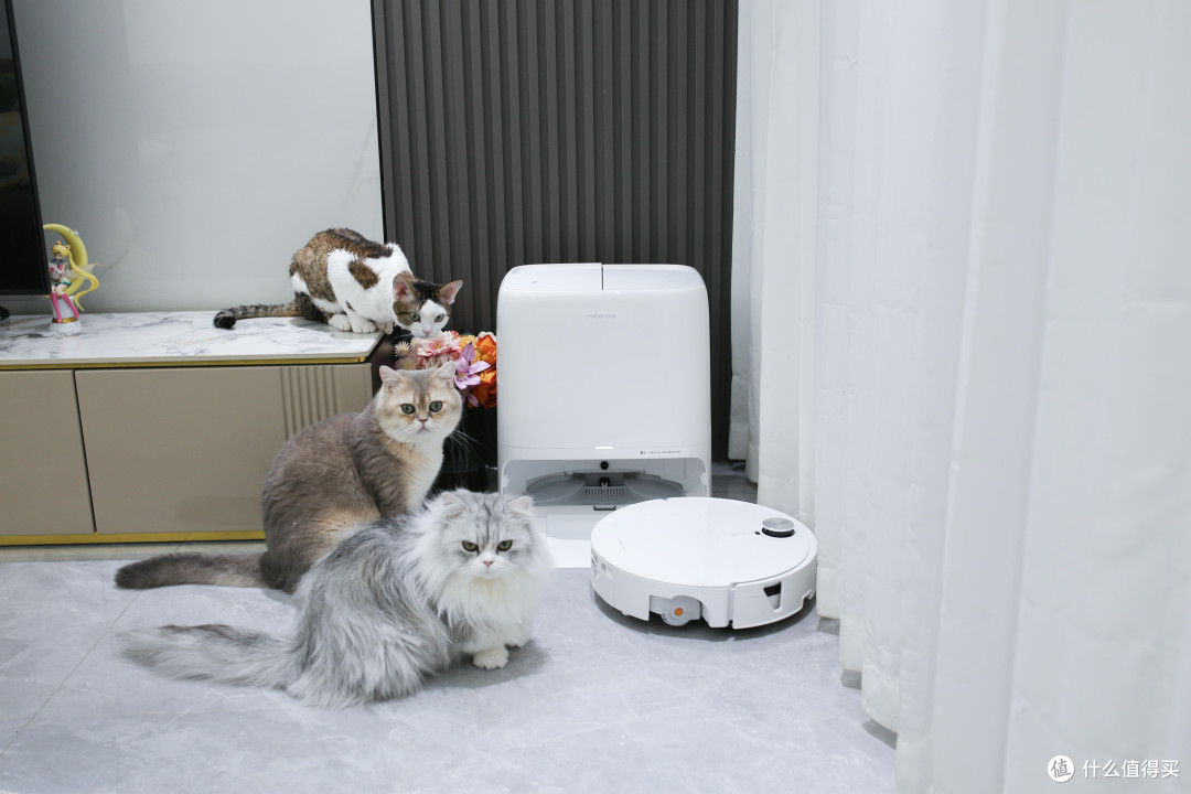 四猫家庭实测石头P30 Pro:猫毛猫砂满地跑,日常清洁能省多少事