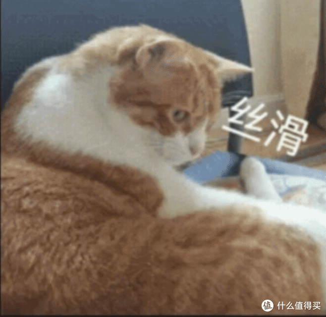 你的后背，纵享丝滑哈哈