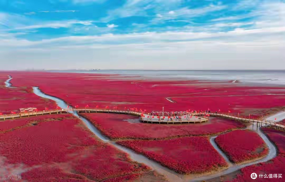 给父母买什么鱼油好？2026年六款国产鱼油按配方与身份解析