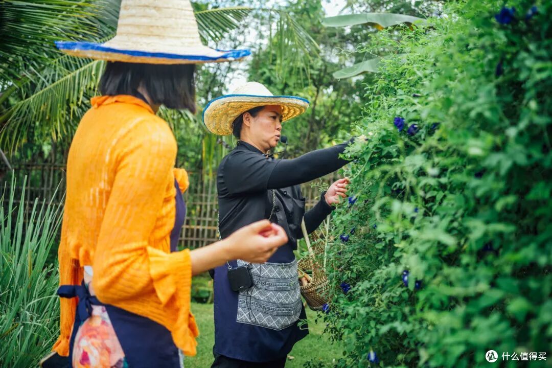 比大理便宜,体验却更封神,这是我心中最好玩的城市!