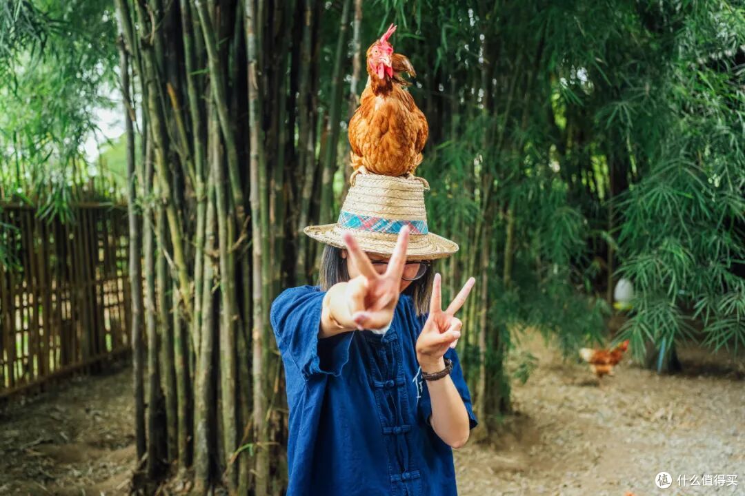 比大理便宜,体验却更封神,这是我心中最好玩的城市!