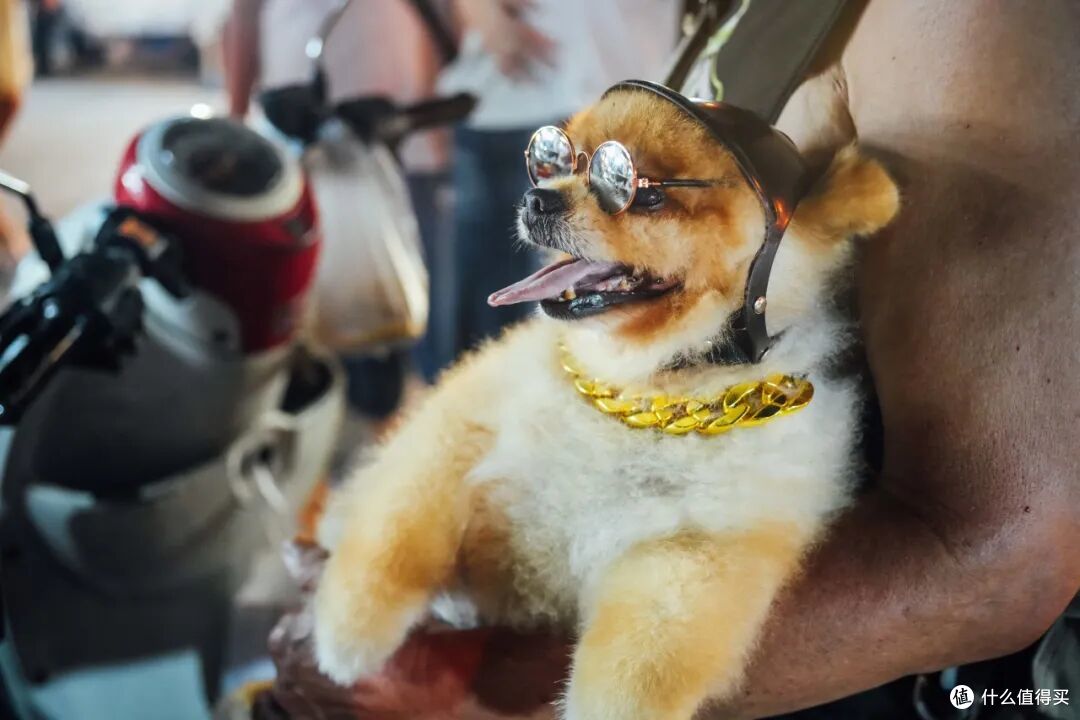 比大理便宜,体验却更封神,这是我心中最好玩的城市!