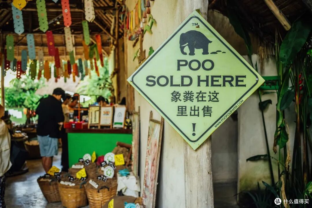 比大理便宜,体验却更封神,这是我心中最好玩的城市!