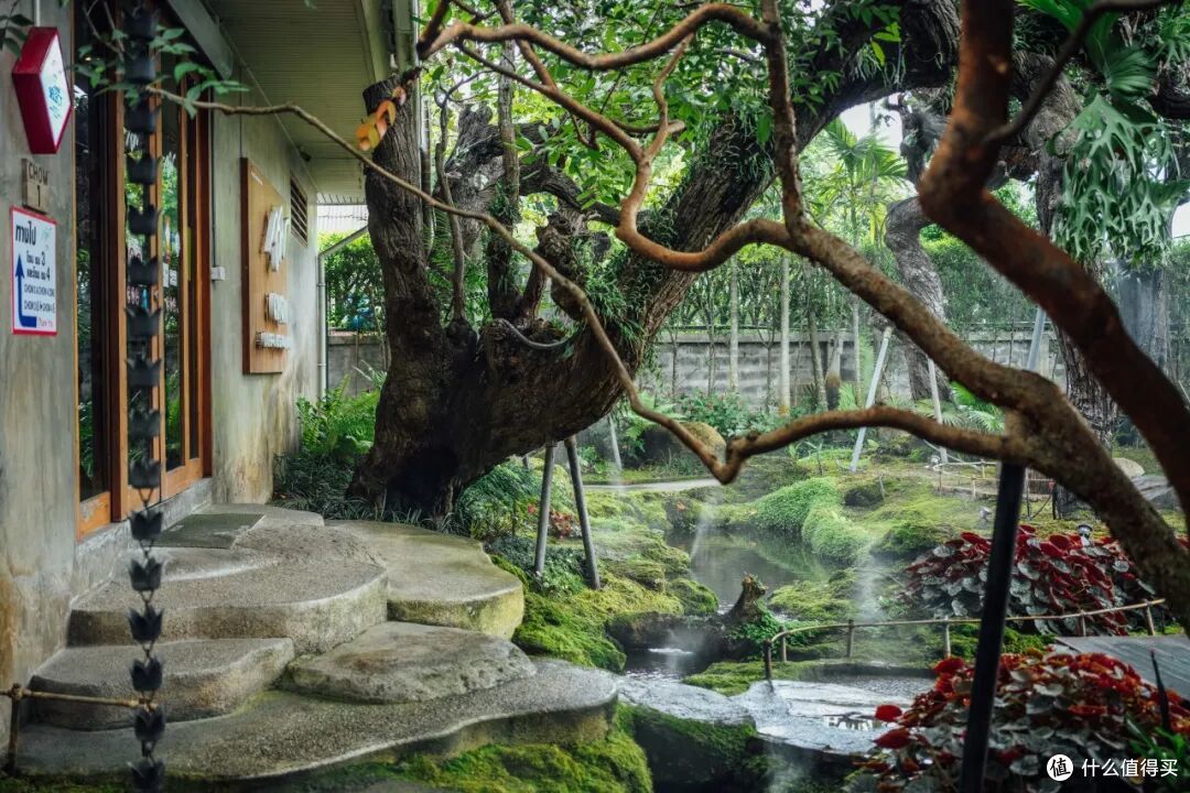 比大理便宜,体验却更封神,这是我心中最好玩的城市!