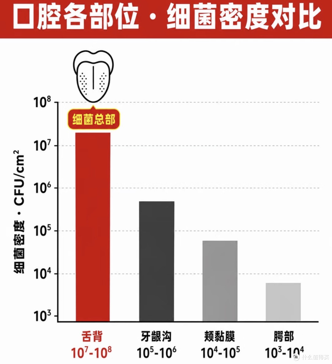 男人最亏的一件事:花大钱洗车,不花2块钱洗嘴:70%的地方没洗过
