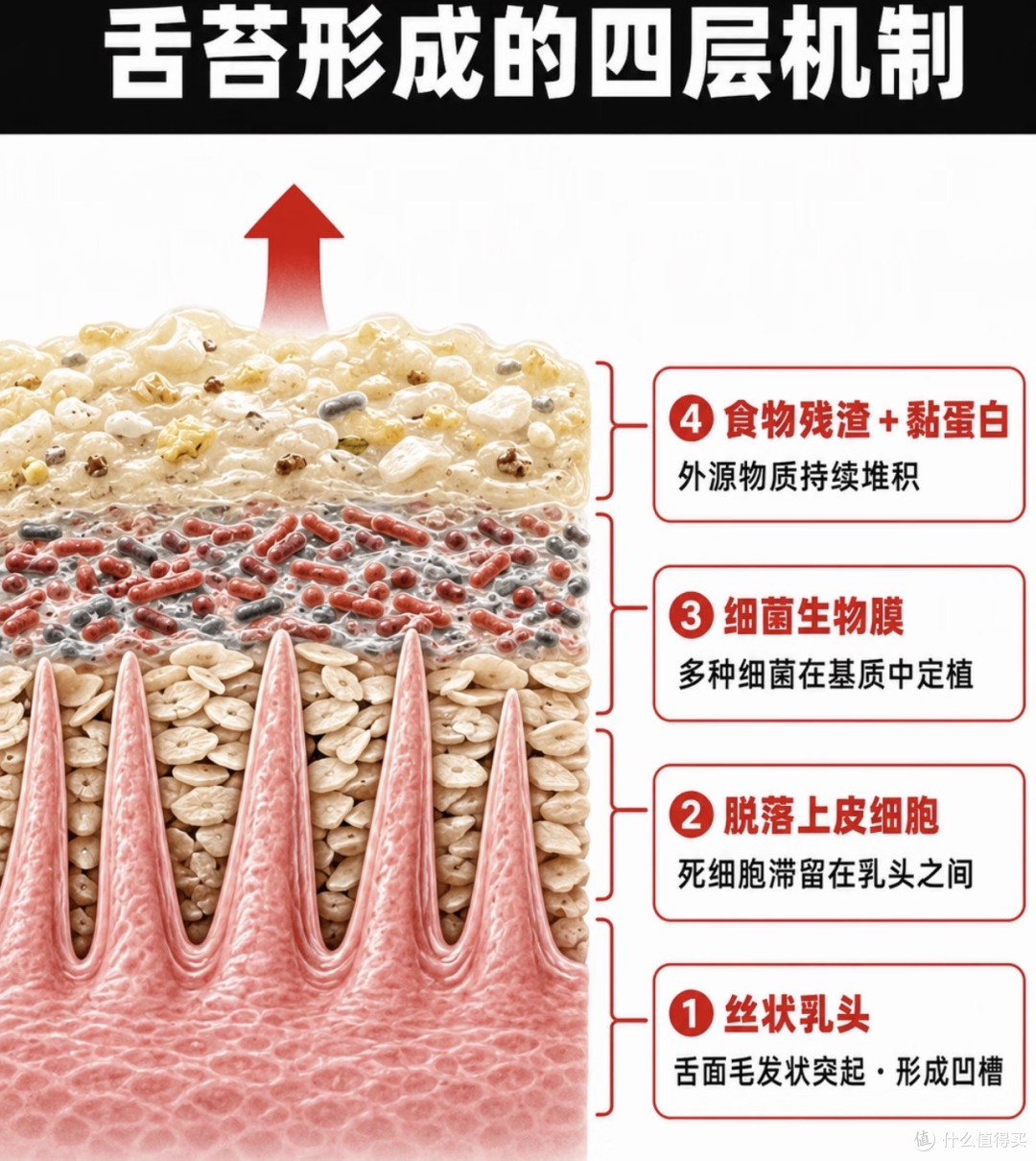 男人最亏的一件事:花大钱洗车,不花2块钱洗嘴:70%的地方没洗过