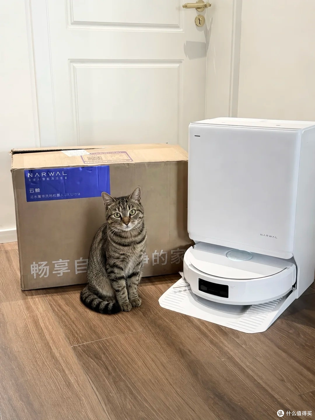 养宠家庭真香!云鲸 JX Ultra 实测:终于不用跟猫毛猫砂较劲了