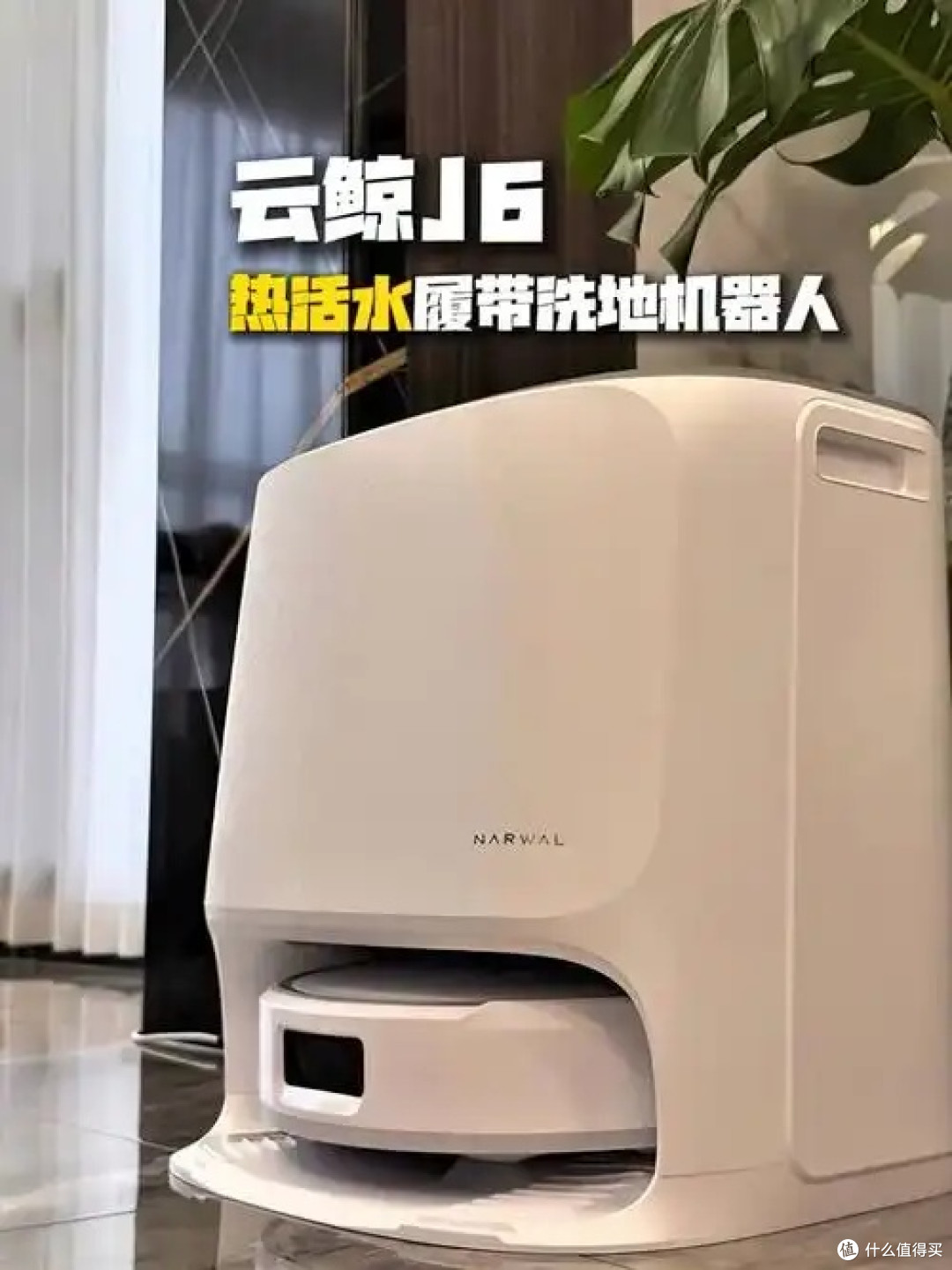 云鲸J6水箱版活水履带实测