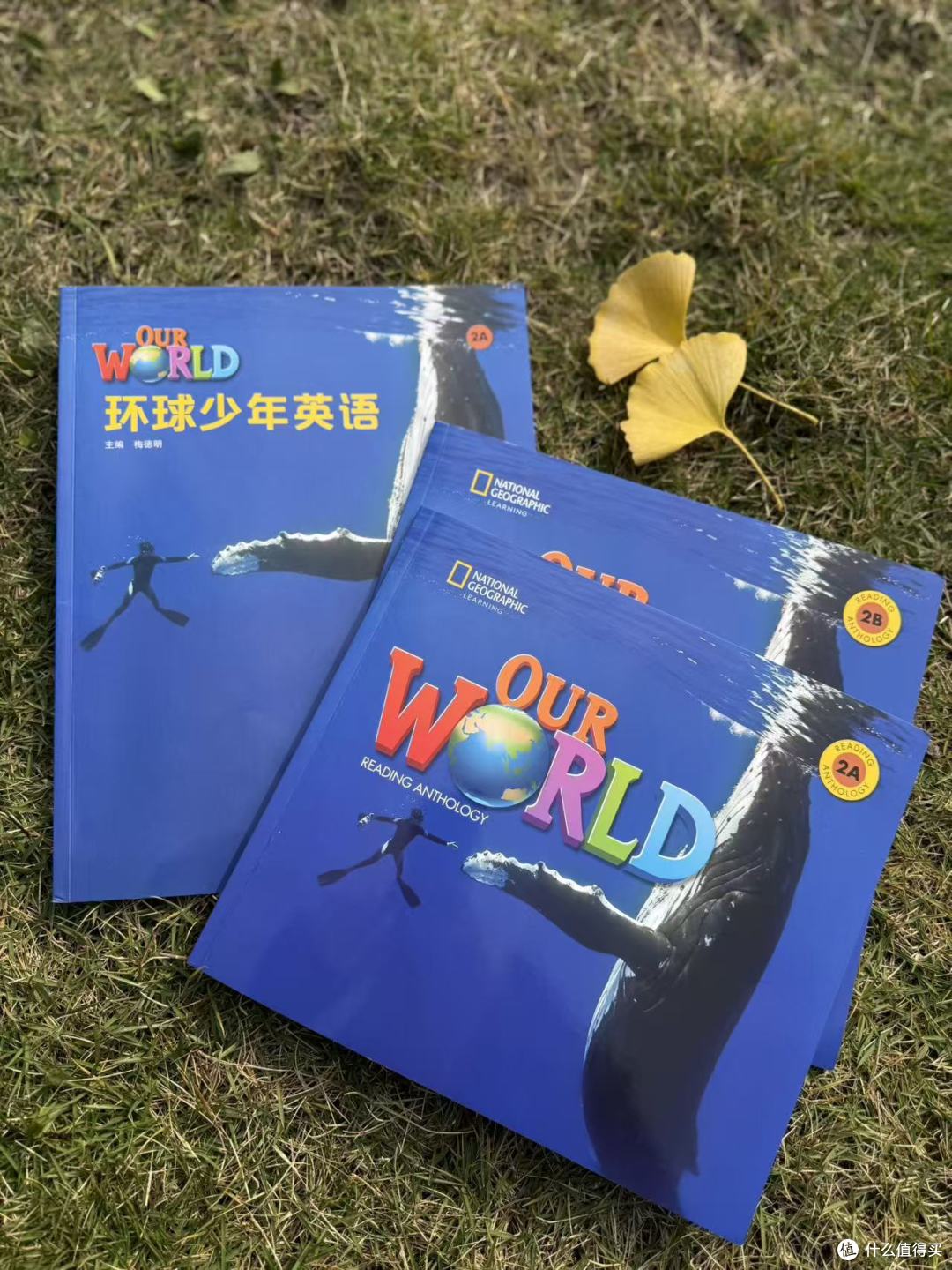 原版教材不是加法而是延伸:给1-6年级孩子的英语阅读方案