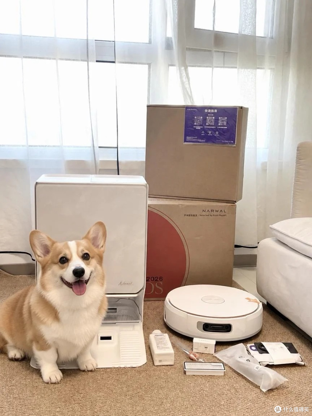 养宠家庭3换扫地机!云鲸逍遥 003 Ultra半月,真的能解放双手?