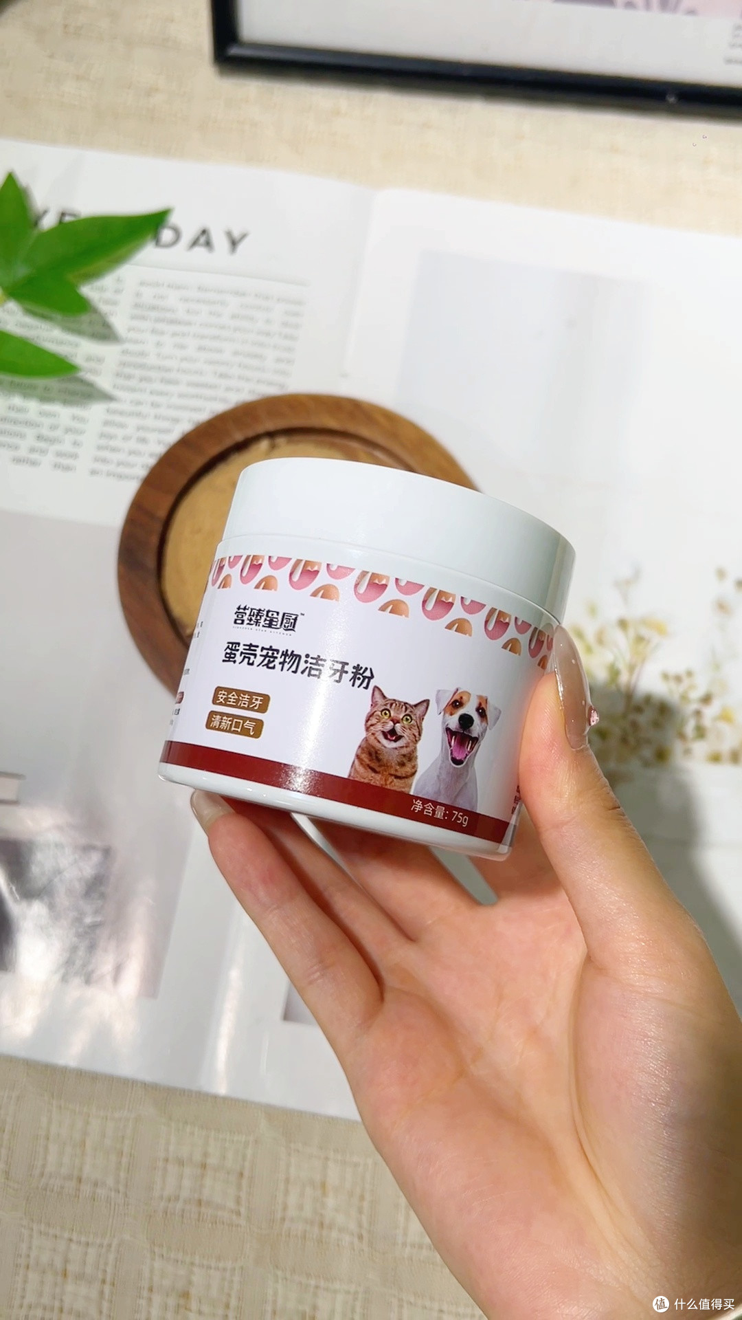 猫咪狗狗洁牙粉清洁口腔去口臭防牙黄斑牙结石拌粮用