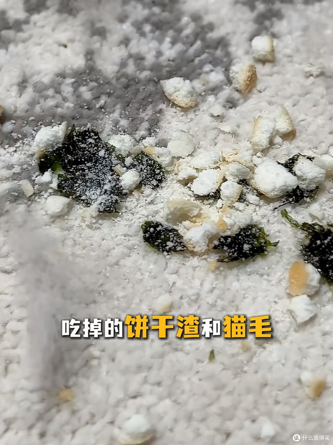 云鲸JX Ultra让冰箱底、床缝、墙角的灰，一次全消失